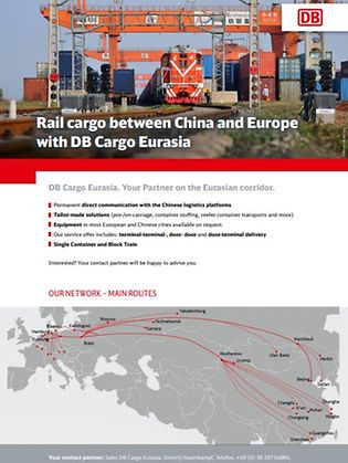 Eurasia flyer foto